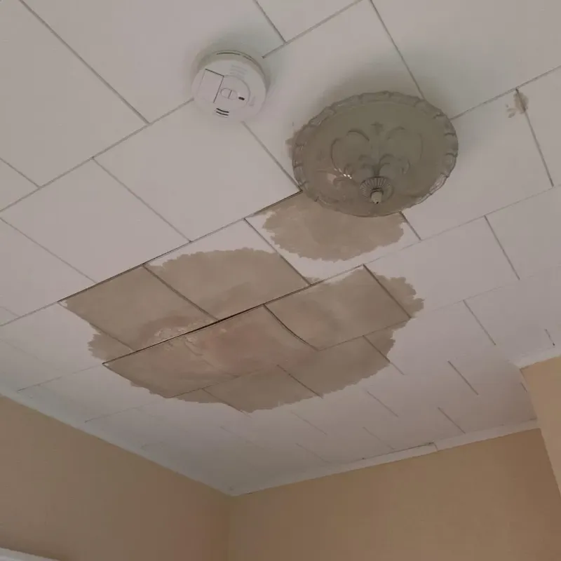 Ceiling Water Damage Repair in Posen, IL