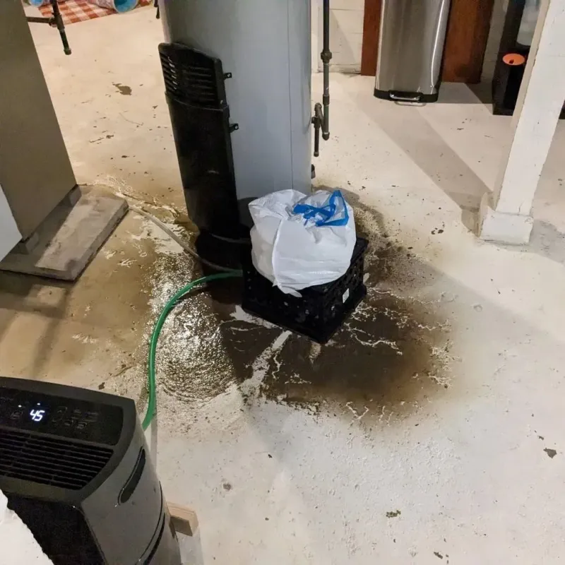 Sewage Backup Cleanup Service in Posen, IL